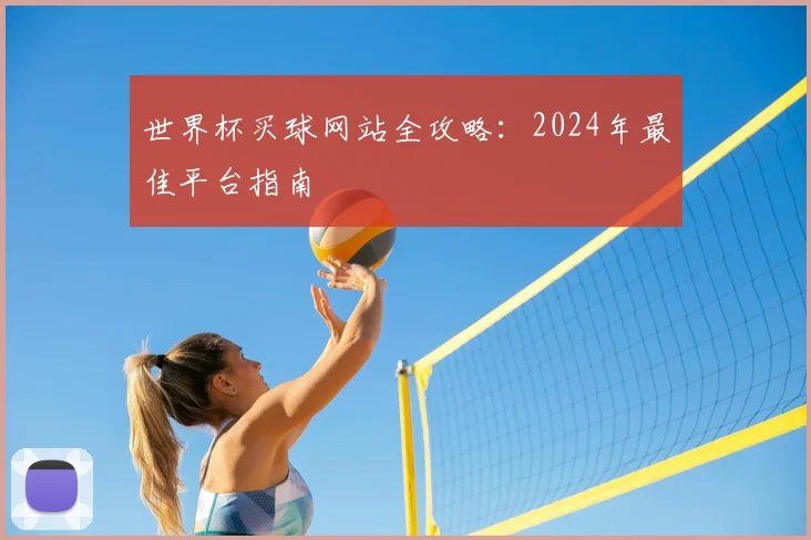 世界杯买球网站全攻略:2024年最佳平台指南