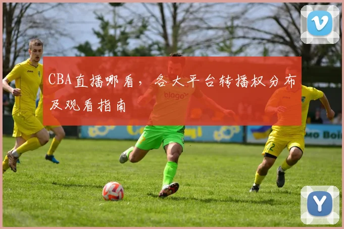 CBA直播哪看,各大平台转播权分布及观看指南