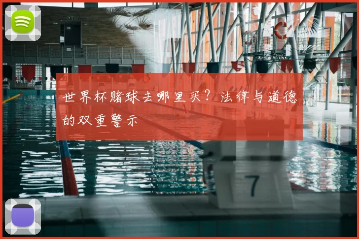 世界杯赌球去哪里买？法律与道德的双重警示