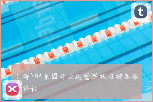 上海NBA乐园开业运营现状与游客体验评估