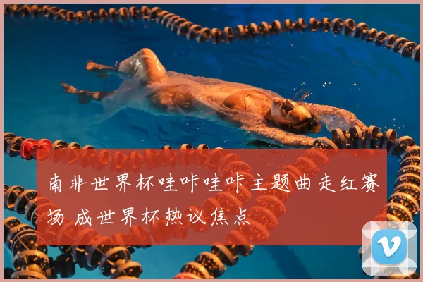 南非世界杯哇咔哇咔主题曲走红赛场 成世界杯热议焦点