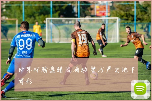 世界杯赌盘暗流涌动 警方严打地下博彩