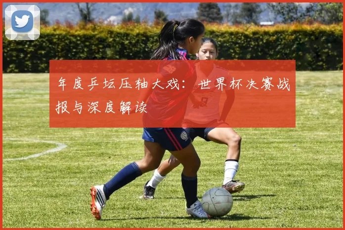 年度乒坛压轴大戏：世界杯决赛战报与深度解读