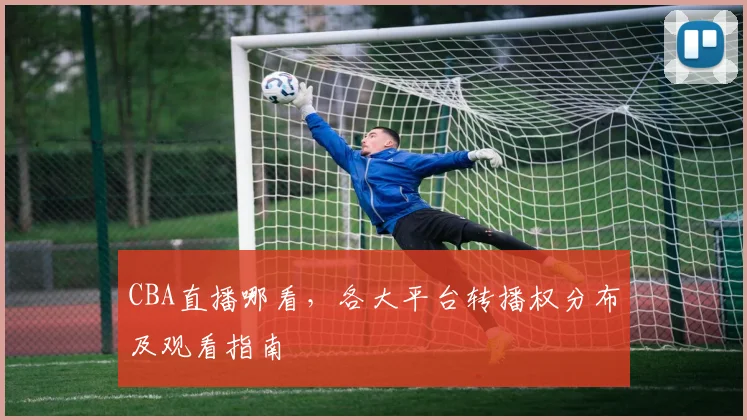 CBA直播哪看,各大平台转播权分布及观看指南